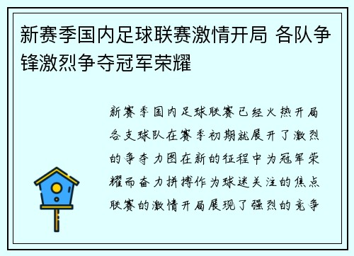 新赛季国内足球联赛激情开局 各队争锋激烈争夺冠军荣耀