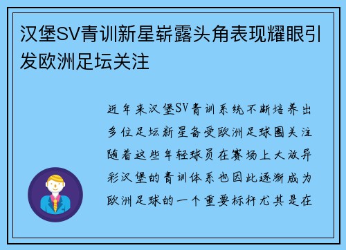 汉堡SV青训新星崭露头角表现耀眼引发欧洲足坛关注