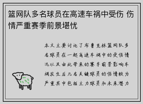 篮网队多名球员在高速车祸中受伤 伤情严重赛季前景堪忧